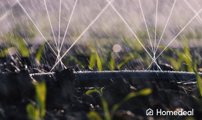 Impianto di irrigazione a goccia in funzione su un terreno coltivato, con spruzzi d’acqua che bagnano le giovani piantine - Homedeal