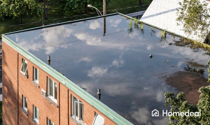 Accumulo d’acqua su un tetto piano: una delle cause più comuni di infiltrazioni dal tetto - Homedeal